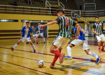 Vuelve el futsal: ¿Cómo están conformadas las diferentes categorías?