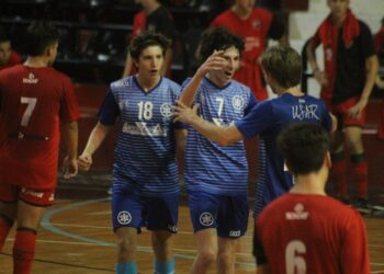 ¿Cómo trabaja la 4ta división de USAR?